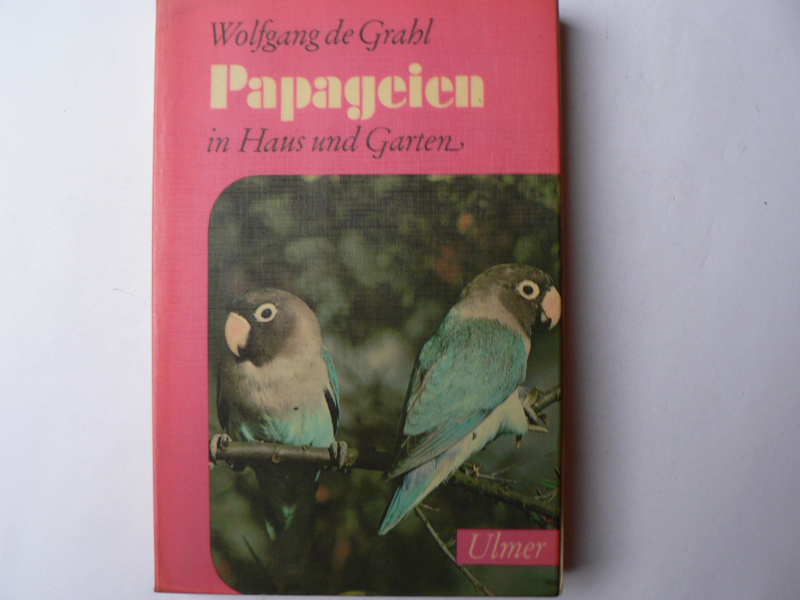 Papageien In Haus Und Garten Leisure, Home & Garden