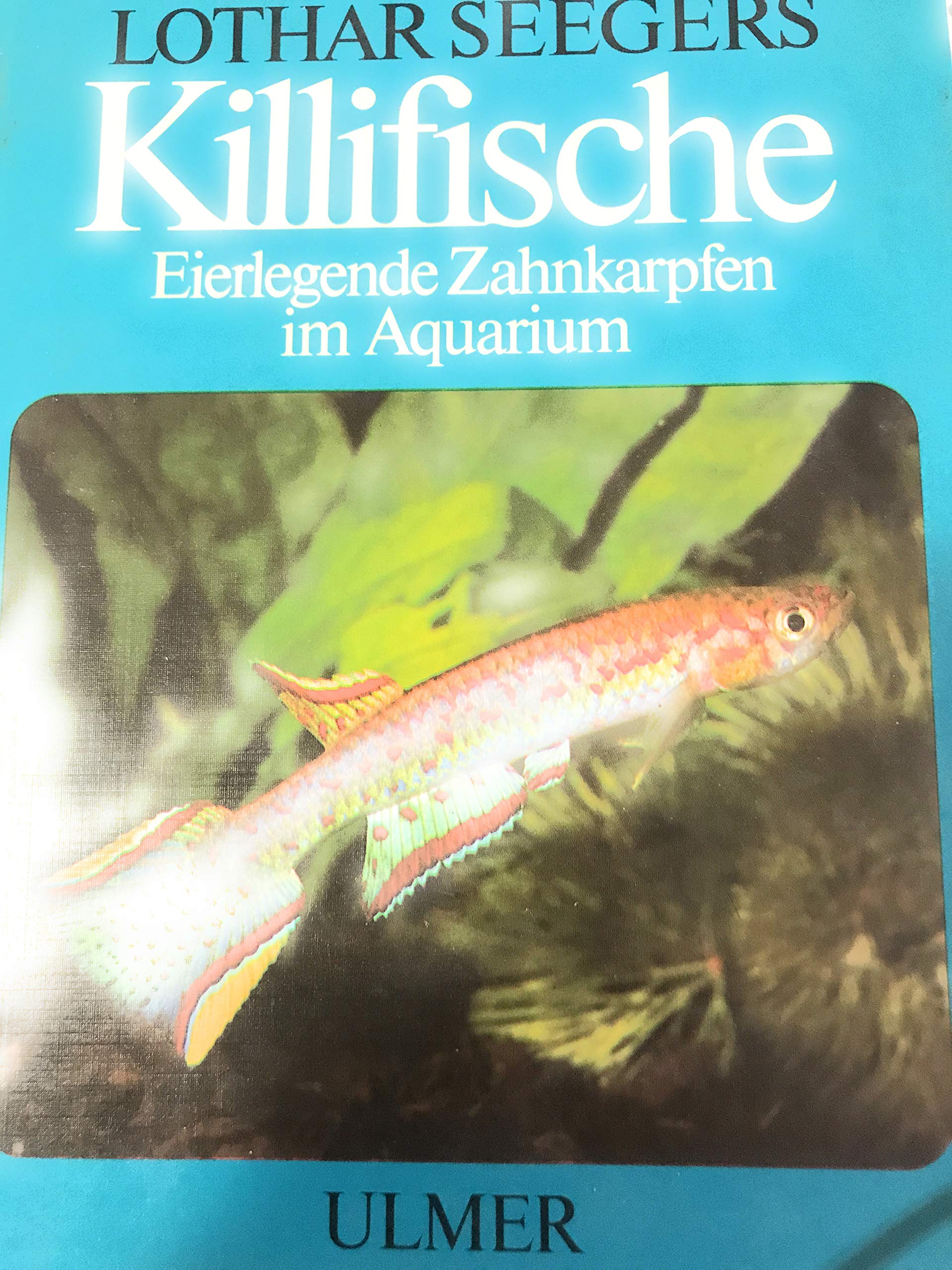 Killifische: Eierlegende Zahnkarpfen im Aquarium Natural Sciences