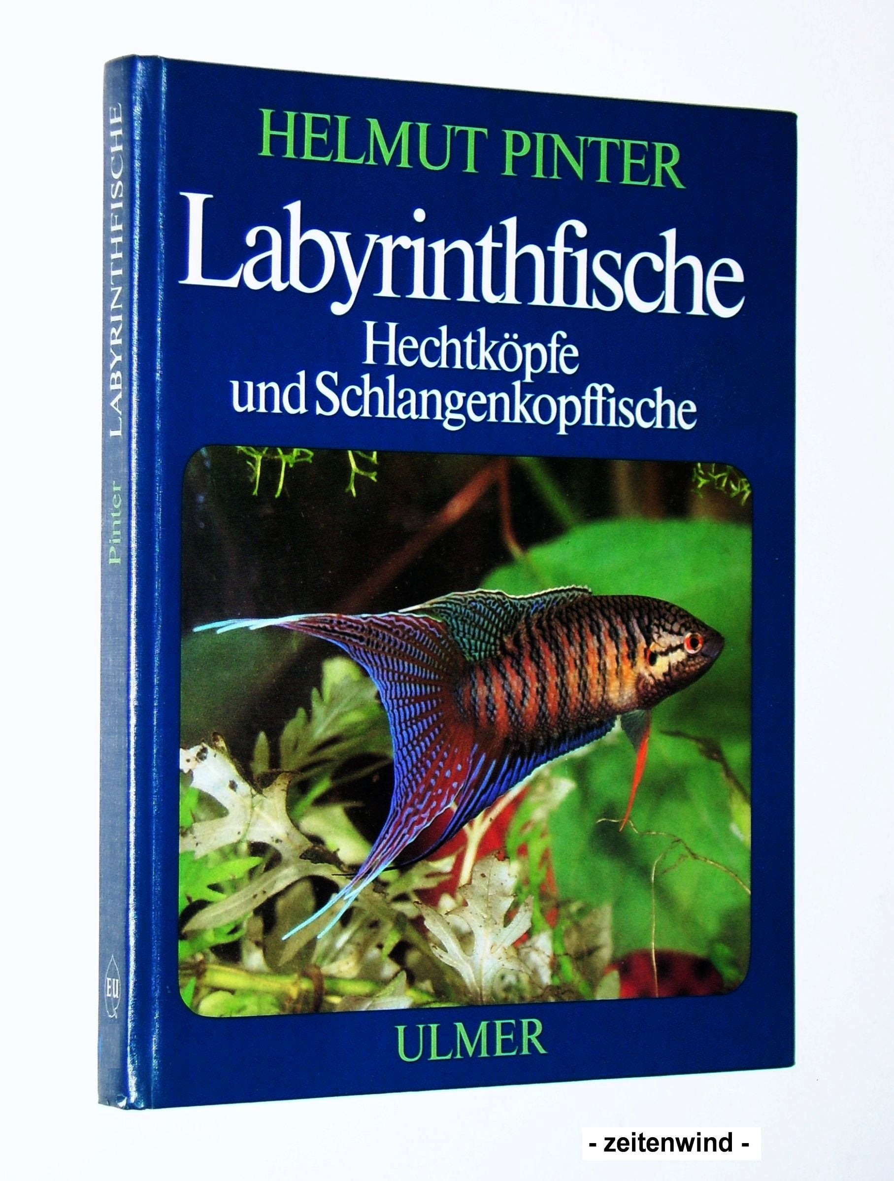 Labyrinthfische, Hechtköpfe und Schlangenkopffische book
