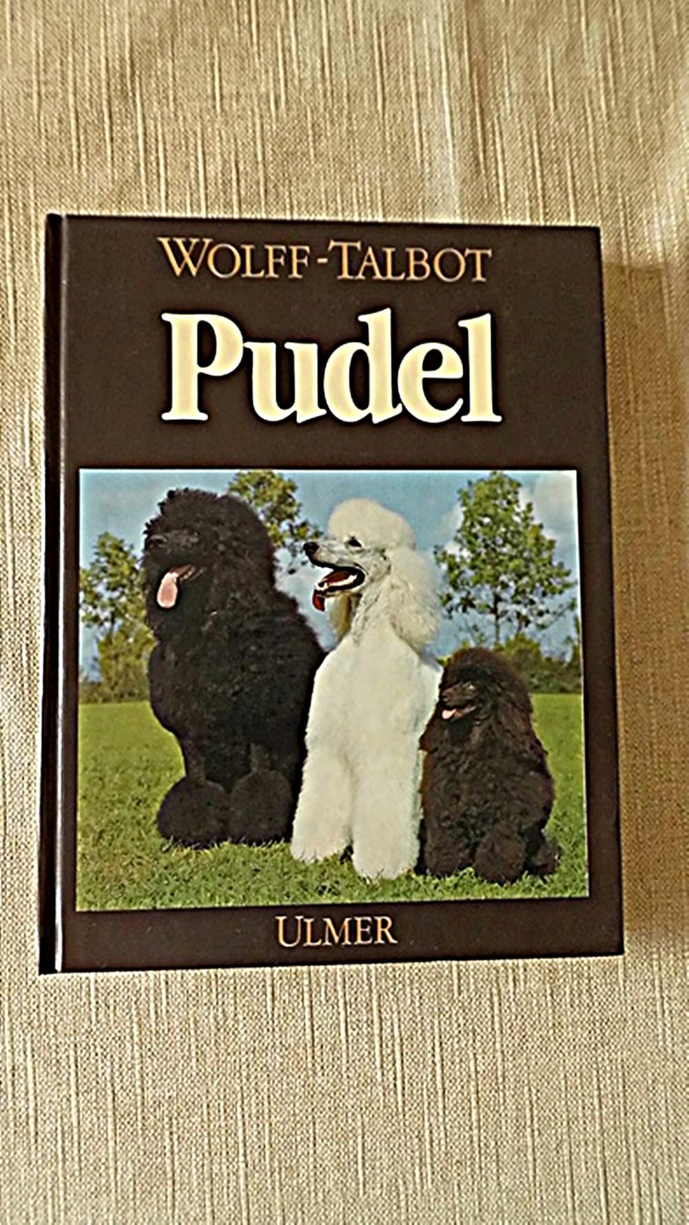 Product Image: Pudel