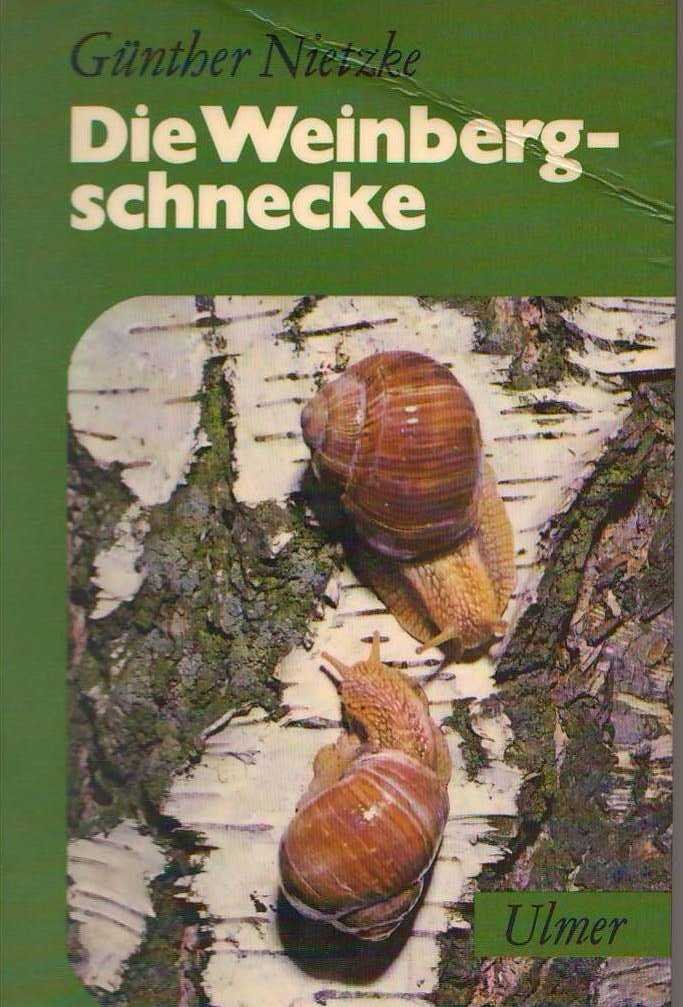 Die Weinbergschnecke: Ihre Lebensweise und Zucht Natural Sciences