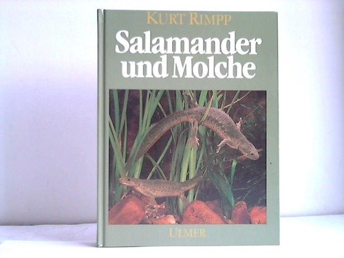 Salamander und Molche: Schwanzlurche im Terrarium Pets