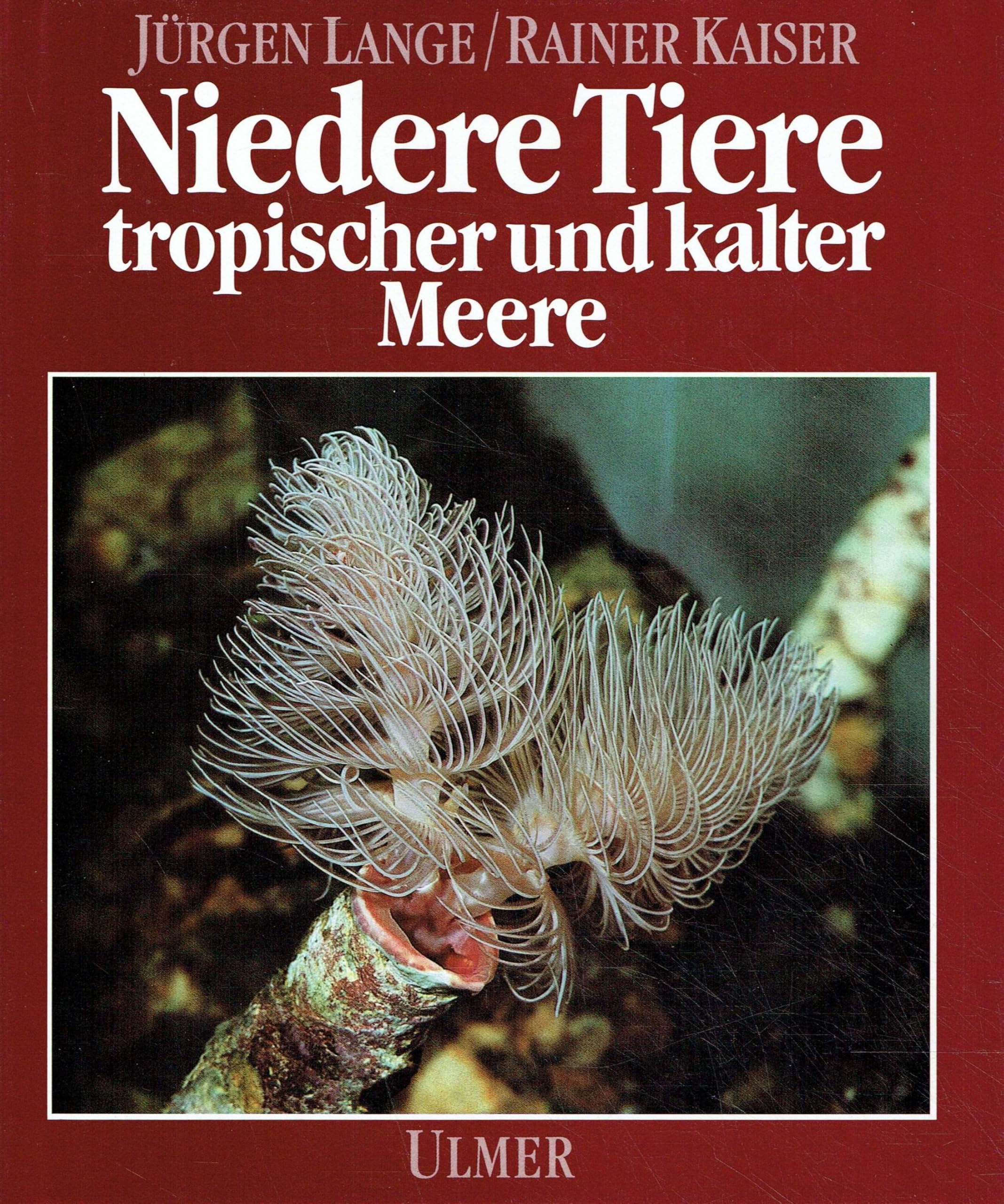 Niedere Tiere tropischer und kalter Meere Natural Sciences