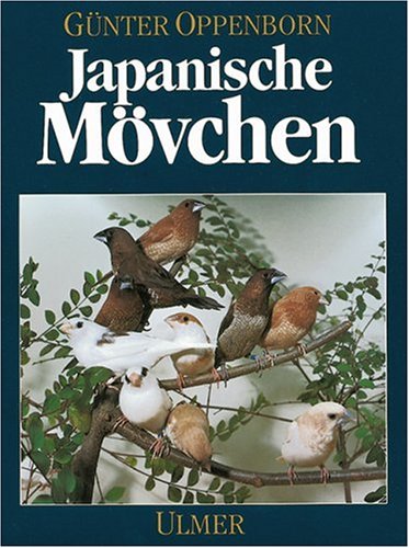Japanische Mövchen: Herkunft, Haltung, Zucht Pets