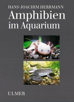 Amphibien im Aquarium Pets