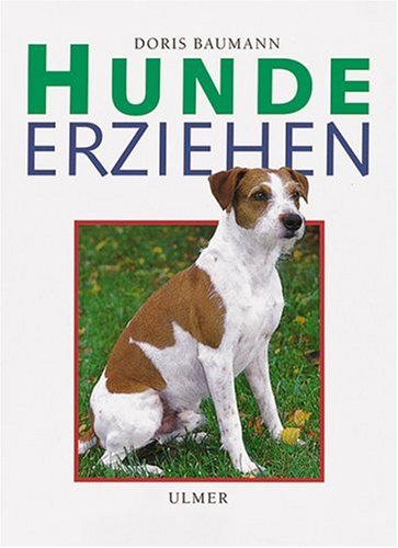 Hunde erziehen Business & Technology