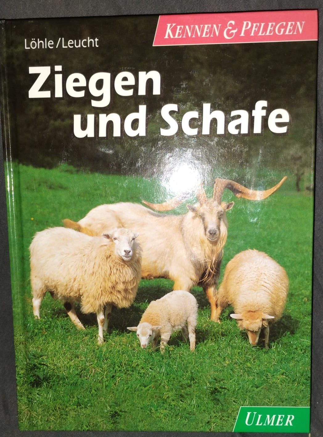 Ziegen und Schafe (Kennen & Pflegen) Books