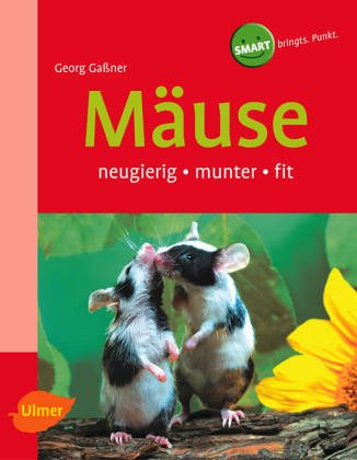 Mäuse, Ratten und Rennmäuse. Heimtiere halten Pets