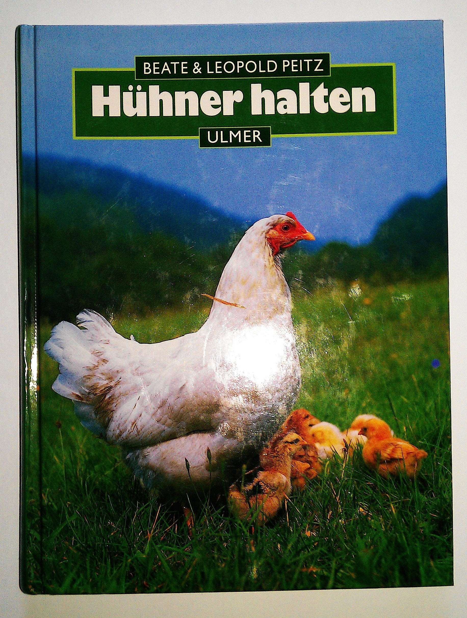 Hühner halten Pets
