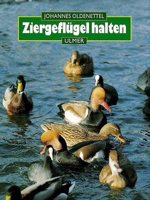 Ziergeflügel halten Pets
