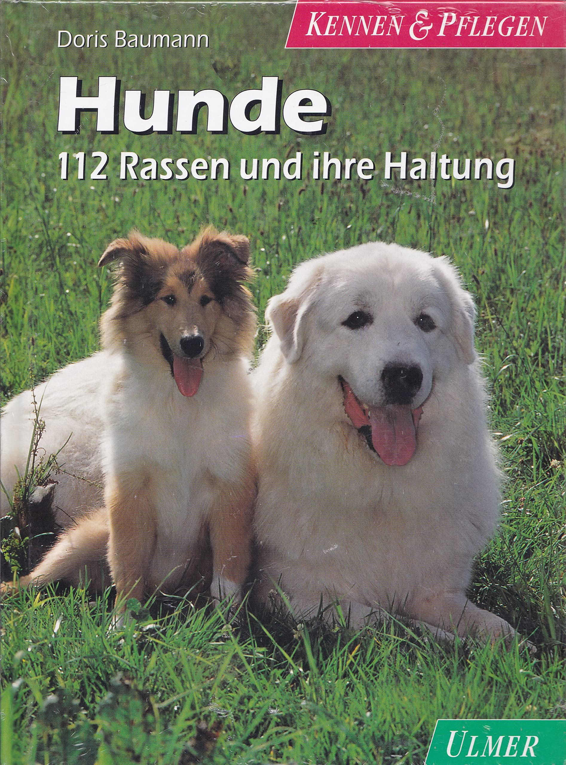Hunde: 112 Rassen und ihre Haltung (Kennen & Pflegen) Books