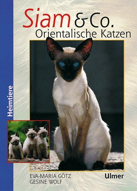 Siam & Co. Orientalische Katzen Pets
