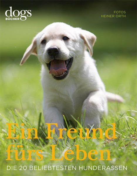 DOGS. Ein Freund fürs Leben Pets