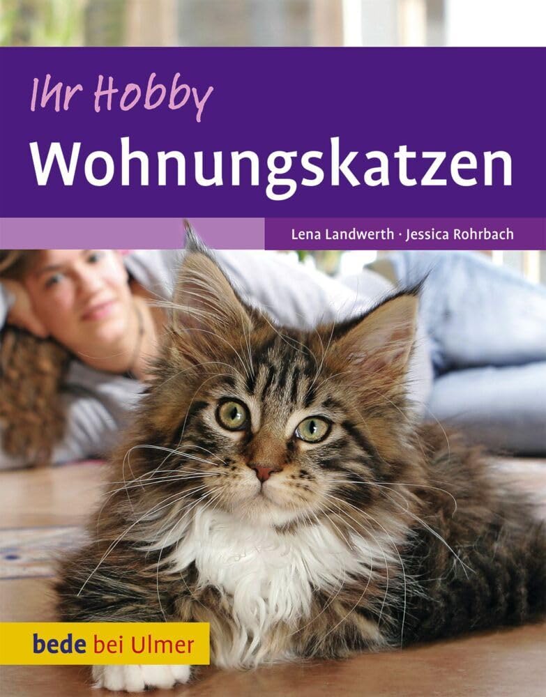 Ihr Hobby Wohnungskatzen Pets