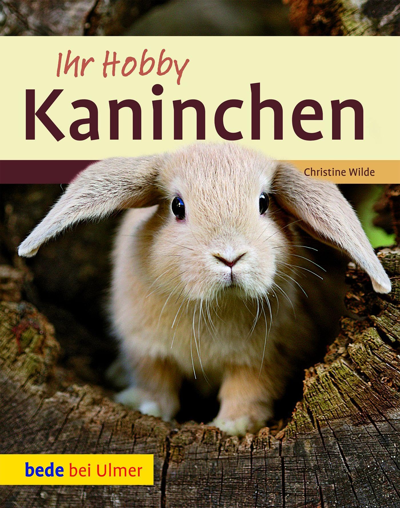 Ihr Hobby Kaninchen Pets