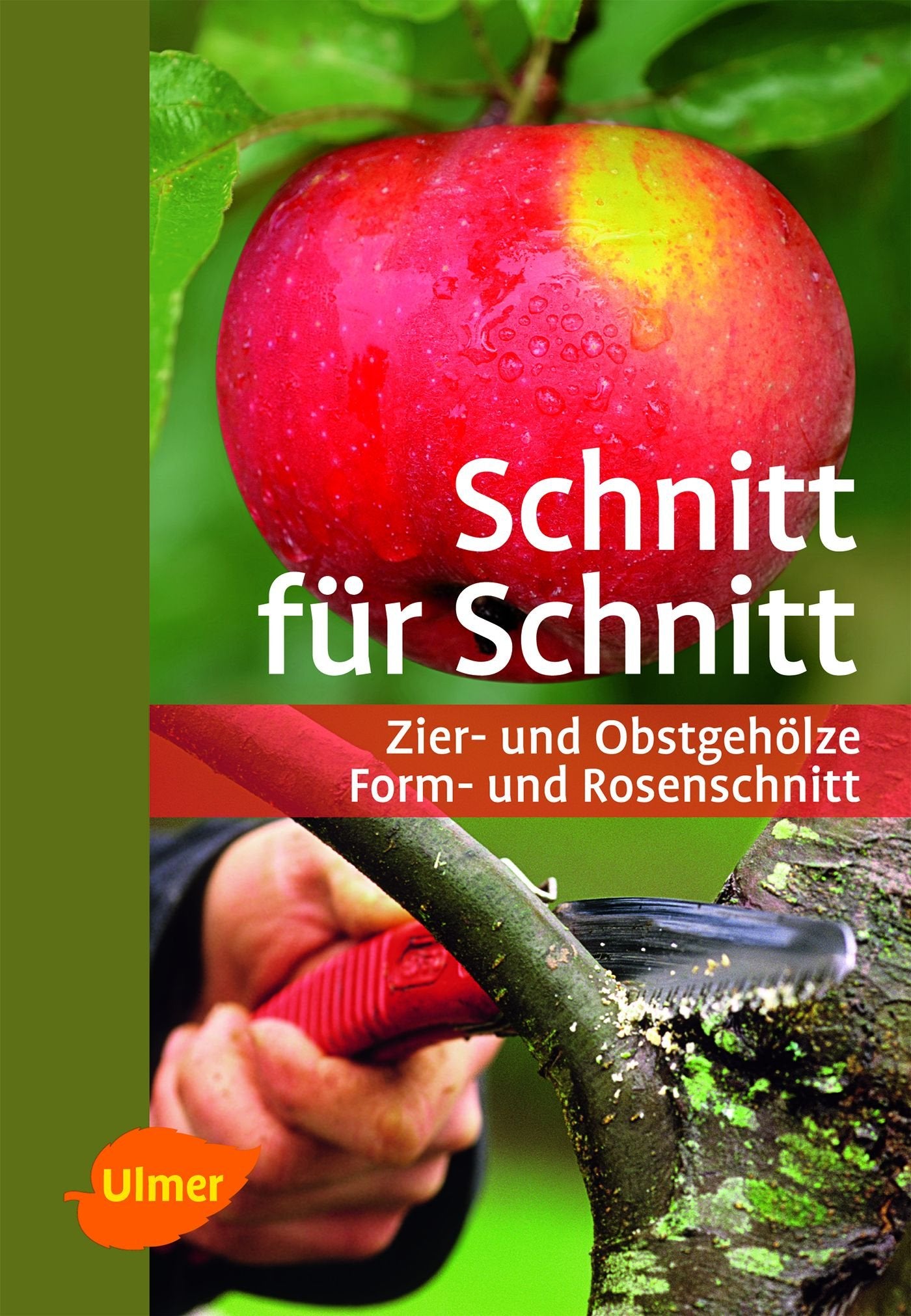 Schnitt für Schnitt: Zier- und Obstgehölze, Form- und Rosenschnitt Garden & Plants