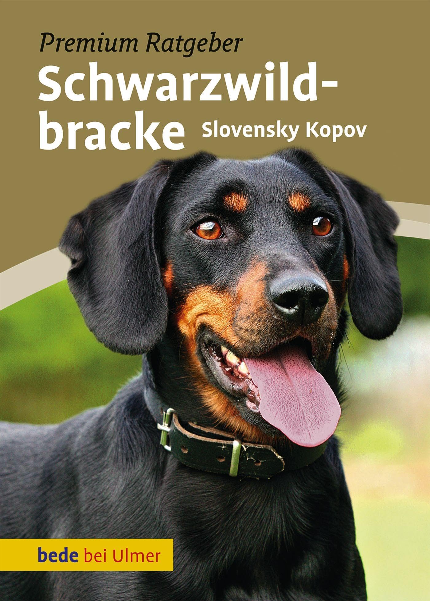 Product Image: Schwarzwildbracke