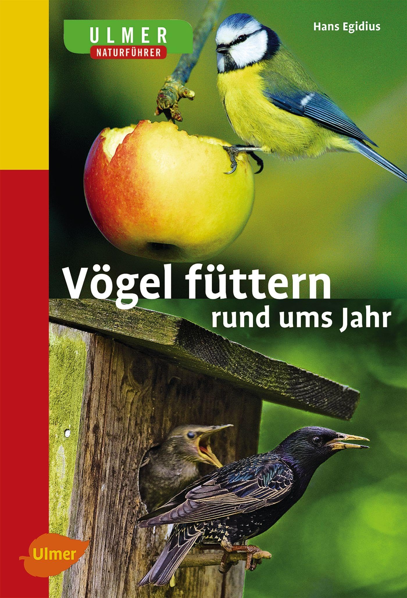 Vögel füttern rund ums Jahr Leisure, Home & Garden