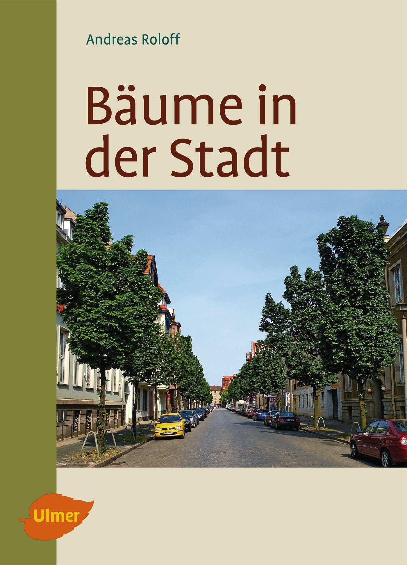 Bäume in der Stadt: Besonderheiten, Funktion, Nutzen, Arten, Risiken Architecture