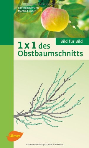 1 x 1 des Obstbaumschnitts: Bild für Bild Garden & Plants