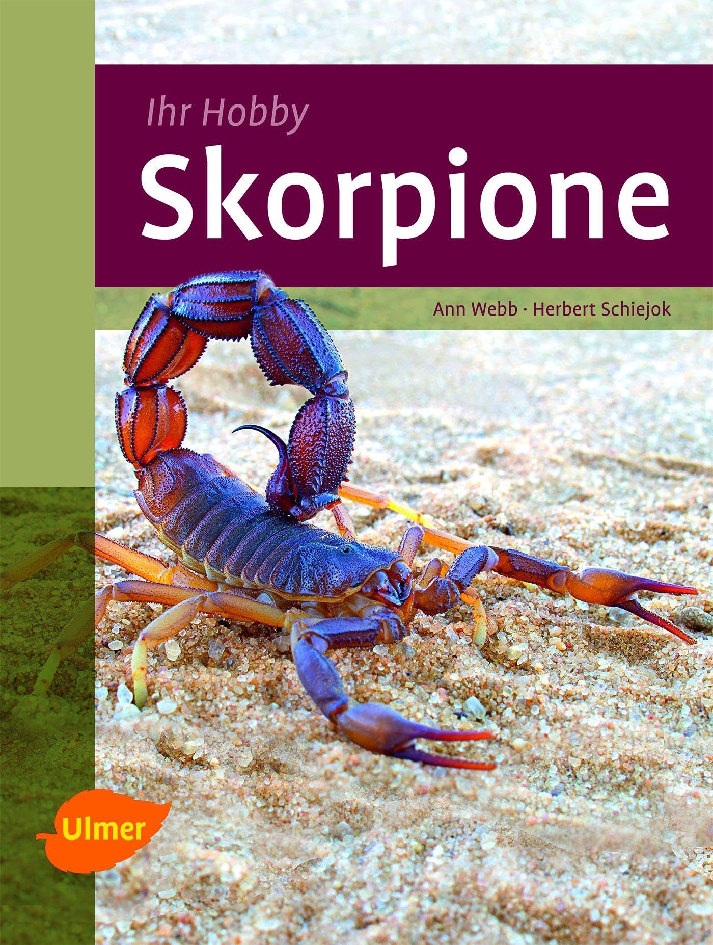 Skorpione Pets