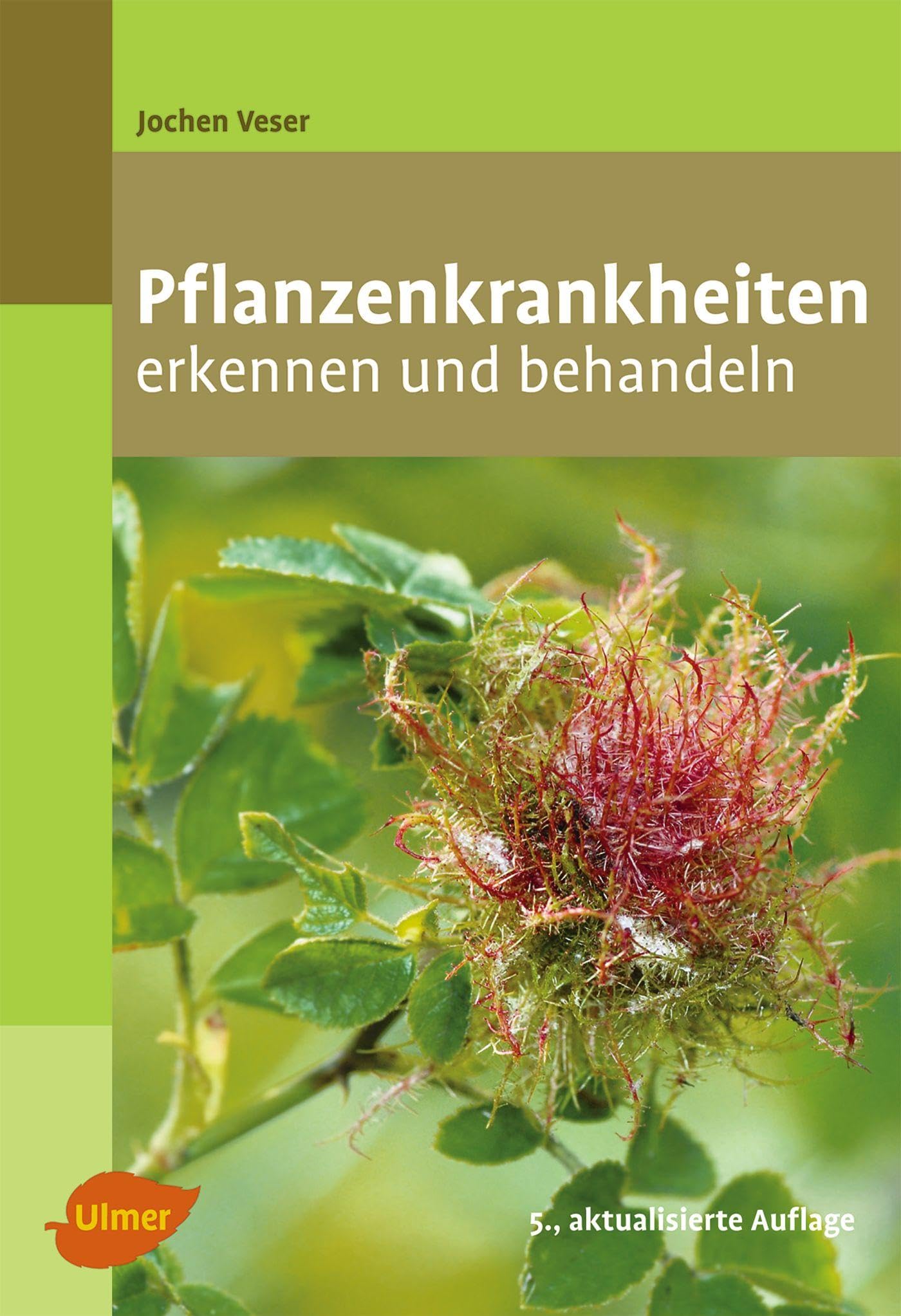 Pflanzenkrankheiten: Erkennen und behandeln Garden & Plants