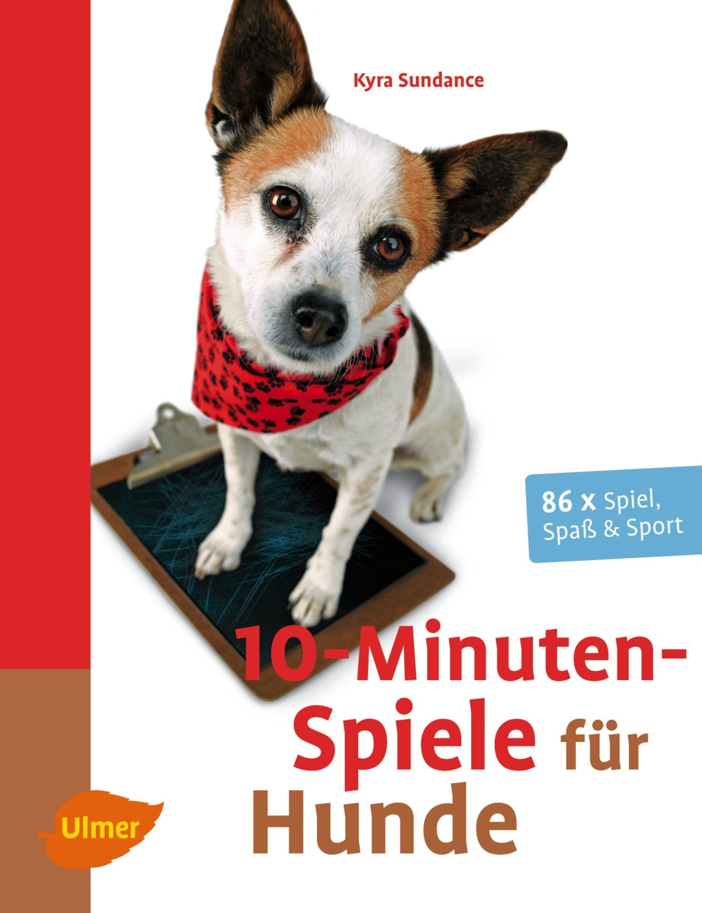 10-Minuten-Spiele für Hunde Pets