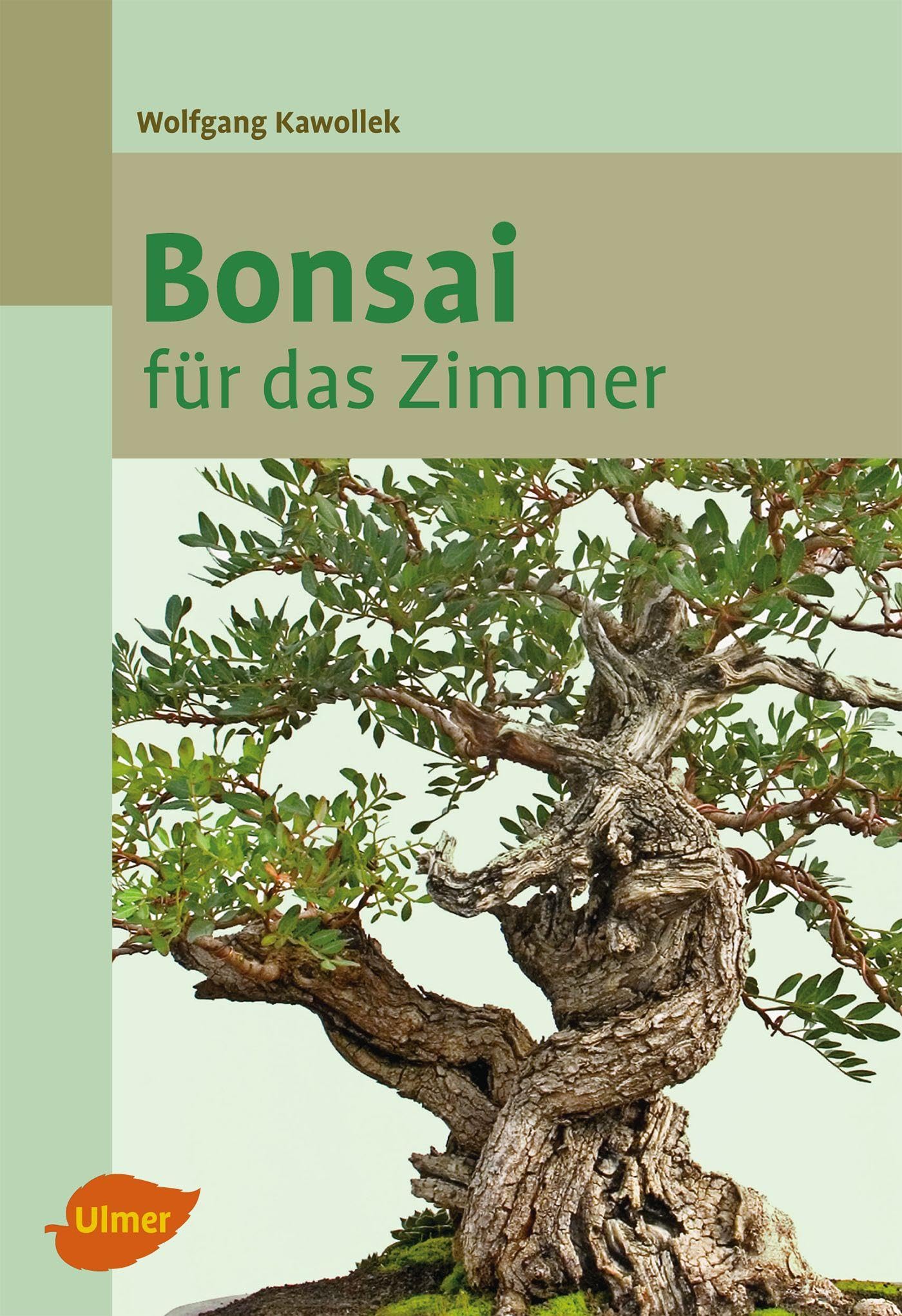 Bonsai für das Zimmer Garden & Plants