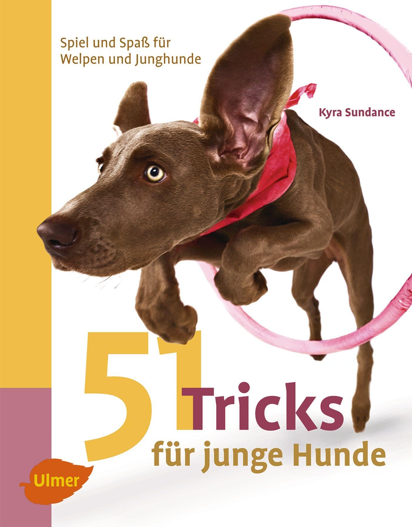 51 Tricks für junge Hunde Pets