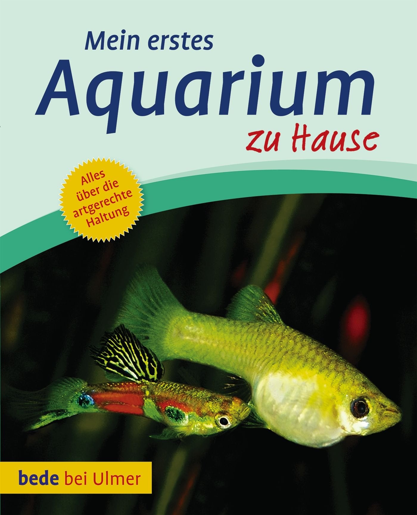 Mein erstes Aquarium zu Hause Pets