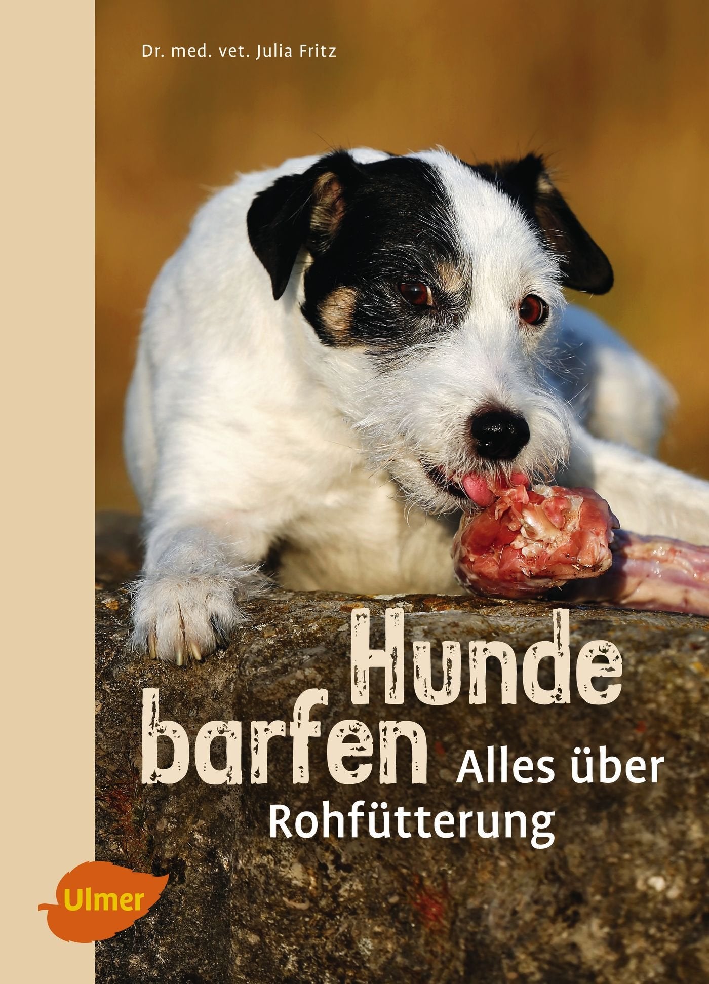 Hunde barfen Medicine