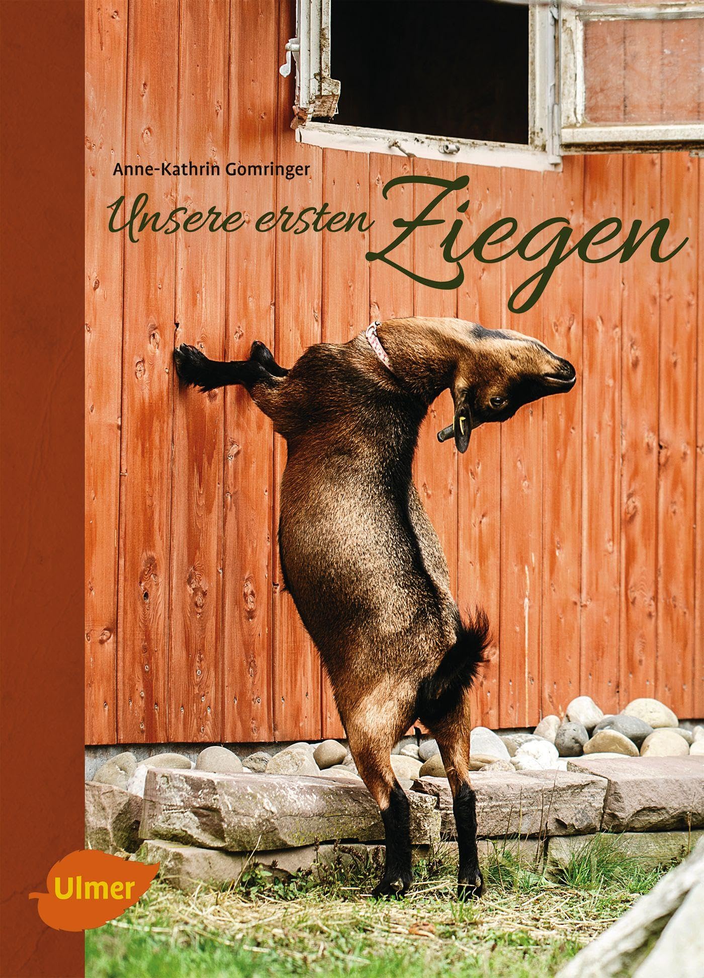 Unsere ersten Ziegen Pets