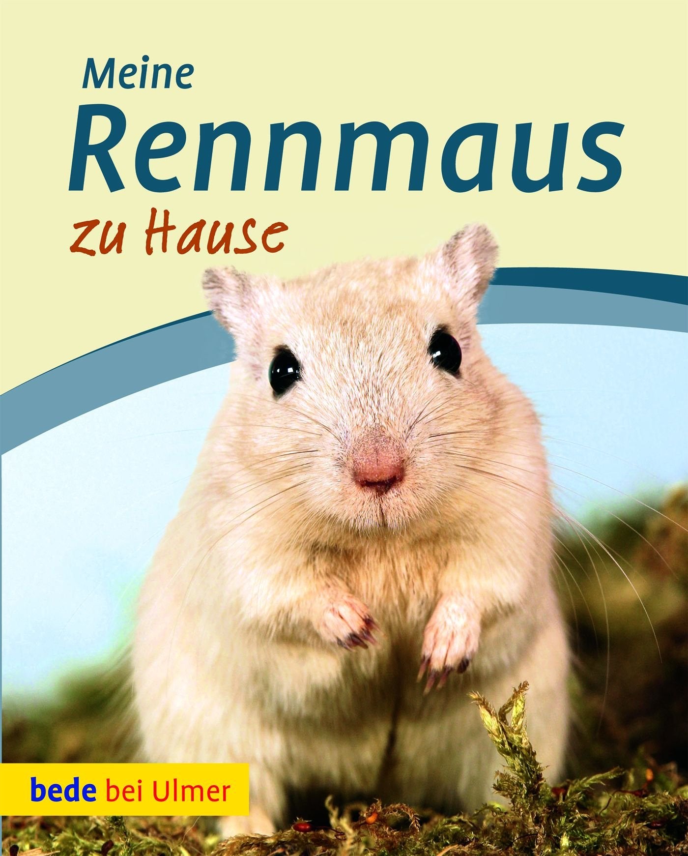 Meine Rennmaus zu Hause: Alles über die artgerechte Haltung Pets