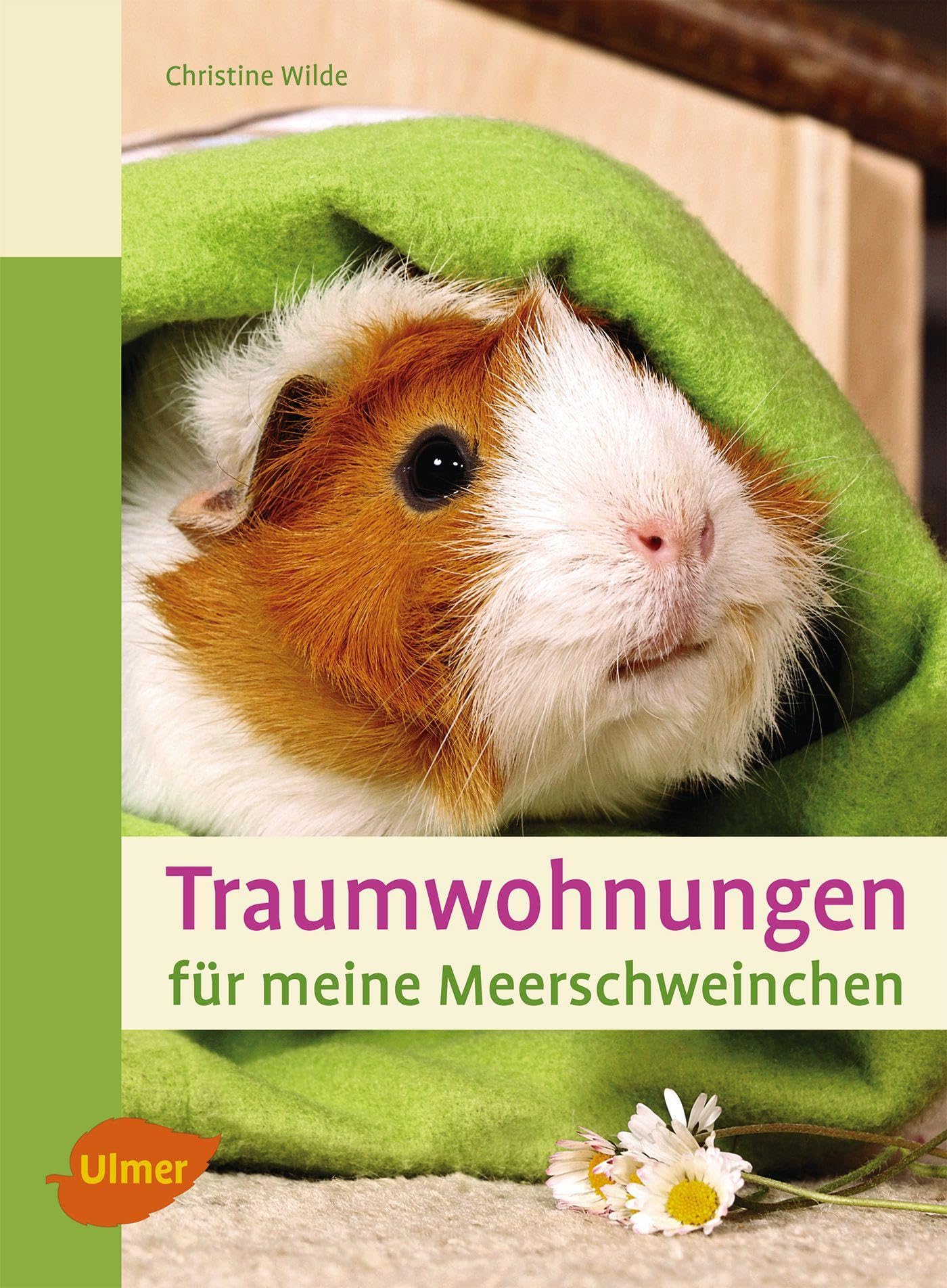 Traumwohnungen für meine Meerschweinchen Pets