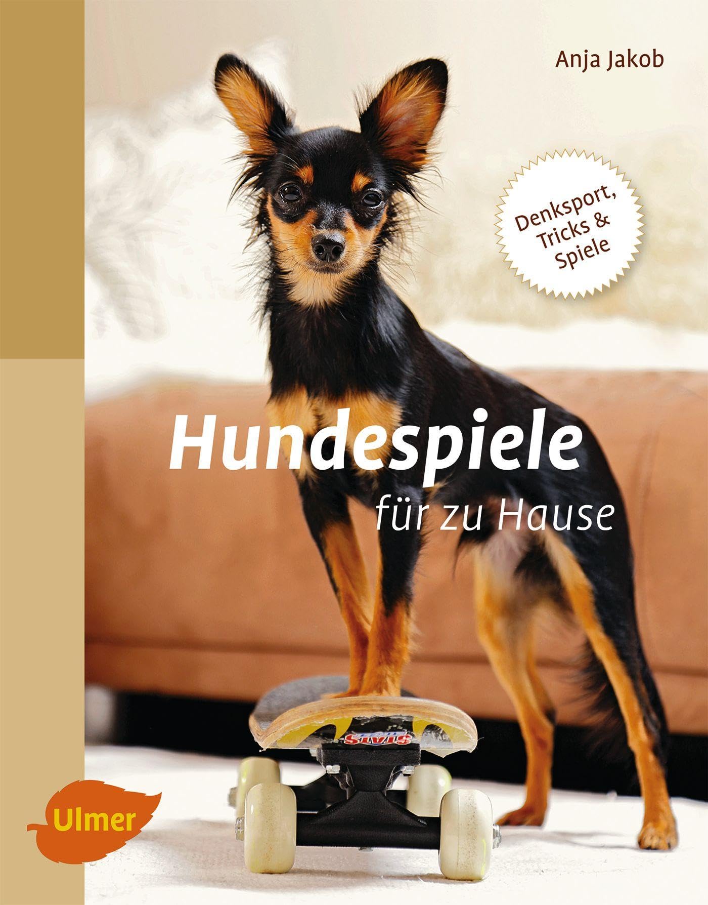 Hundespiele für zu Hause Pets