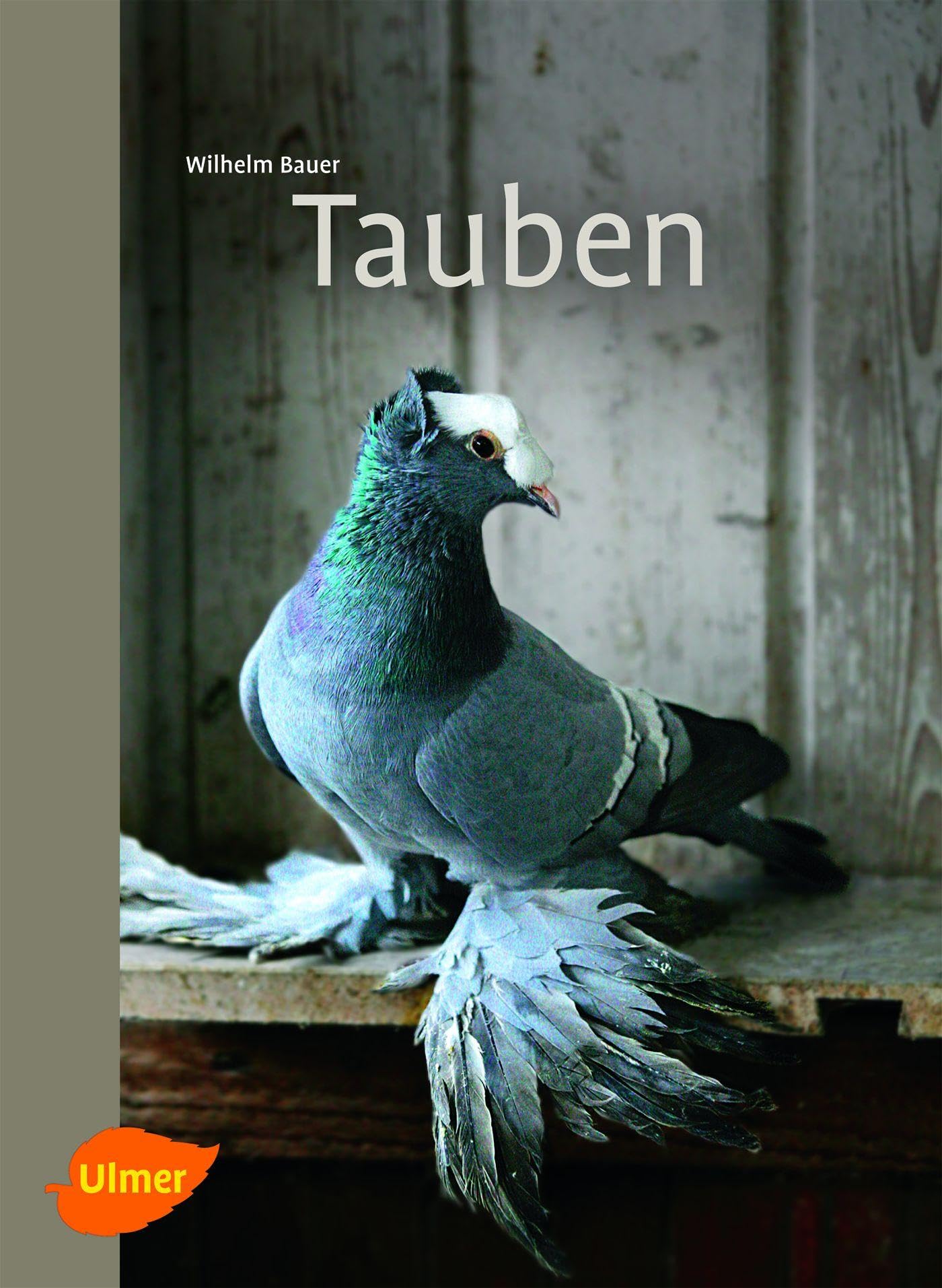 Tauben Pets