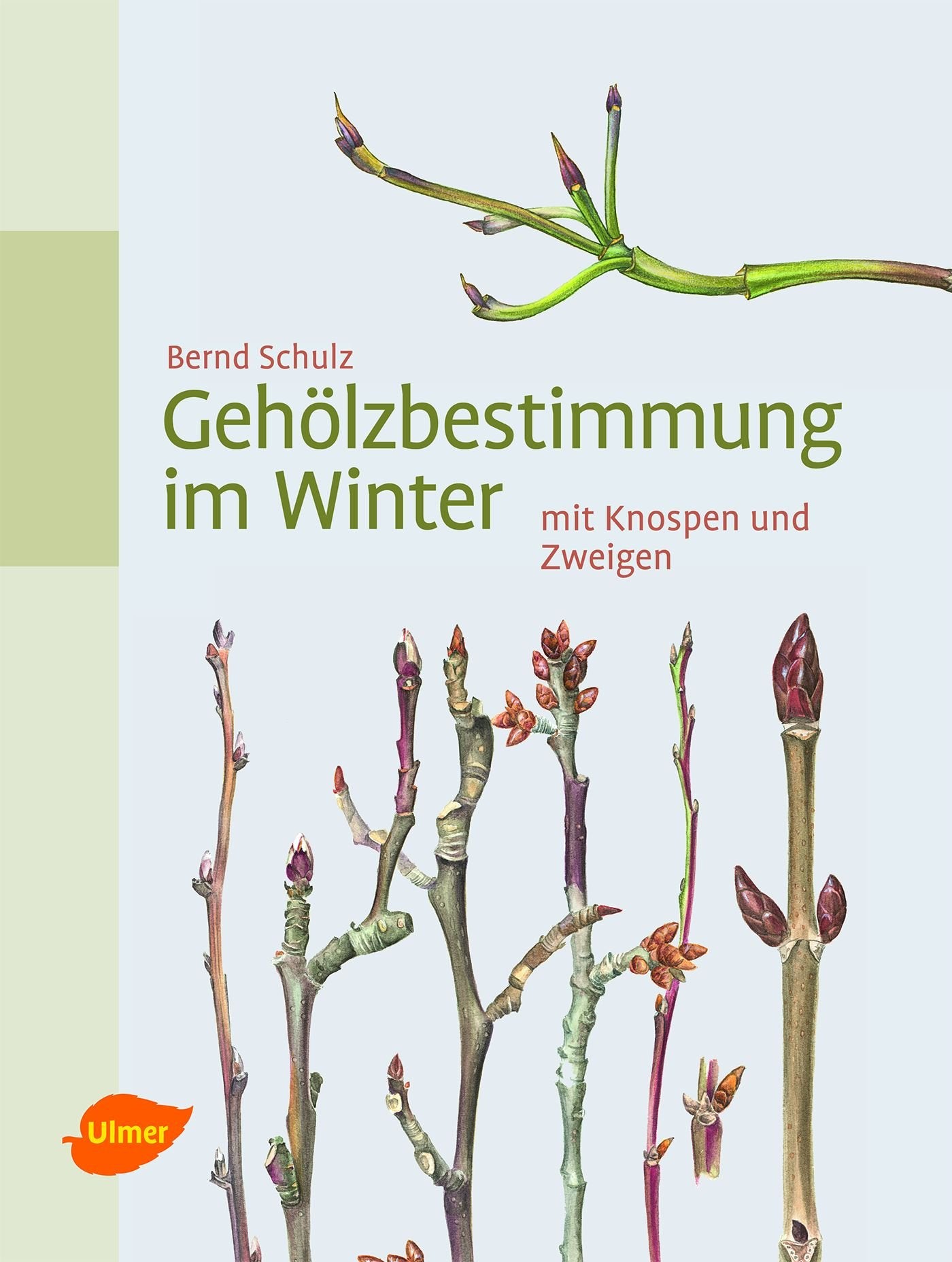 Gehölzbestimmung im Winter Garden & Plants