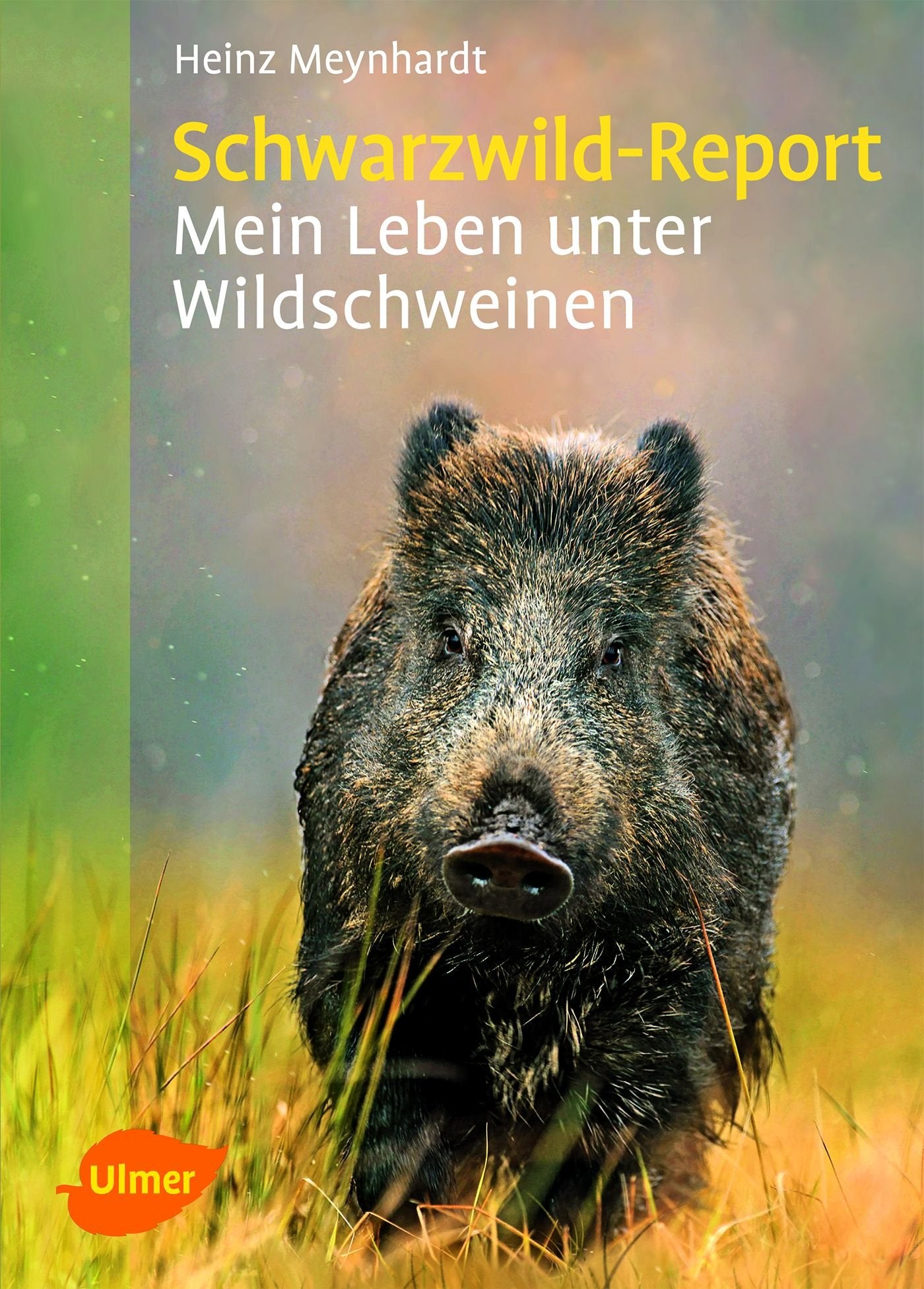 Schwarzwild-Report: Mein Leben unter Wildschweinen Leisure, Home & Garden