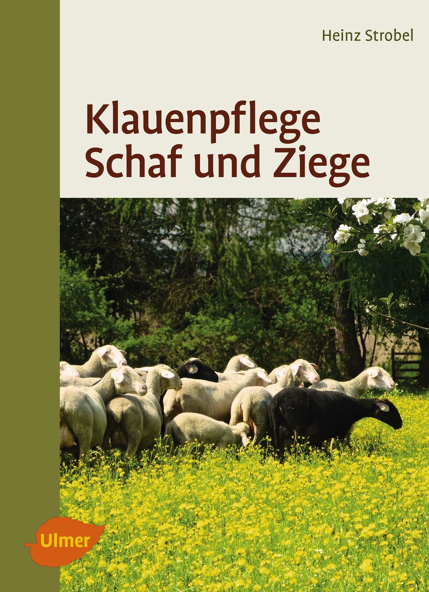 Klauenpflege Schaf und Ziege Natural Sciences
