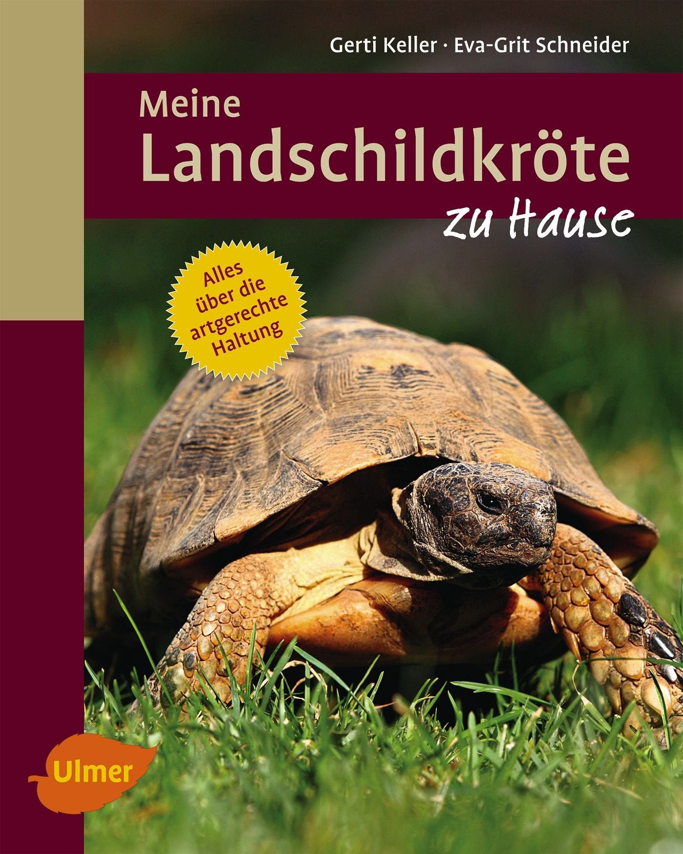 Meine Landschildkröte zu Hause: Alles über die artgerechte Haltung Pets