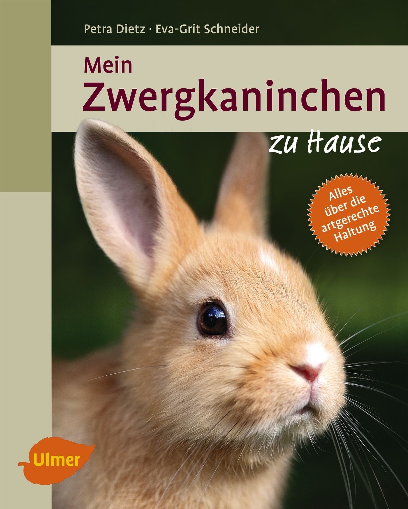 Mein Zwergkaninchen zu Hause Pets