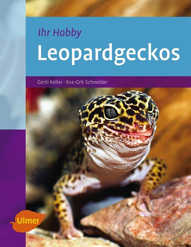 Leopardgeckos Pets