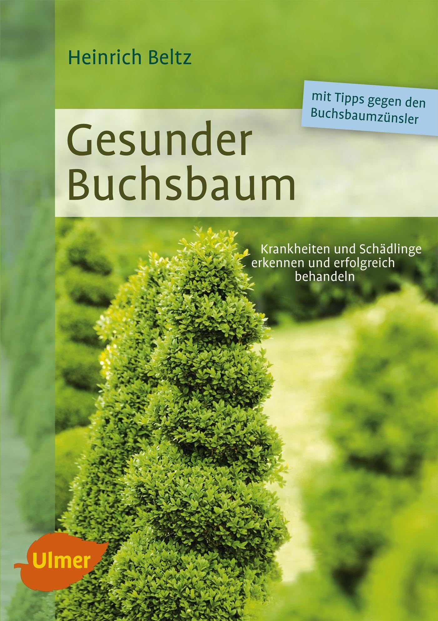 Gesunder Buchsbaum Garden & Plants