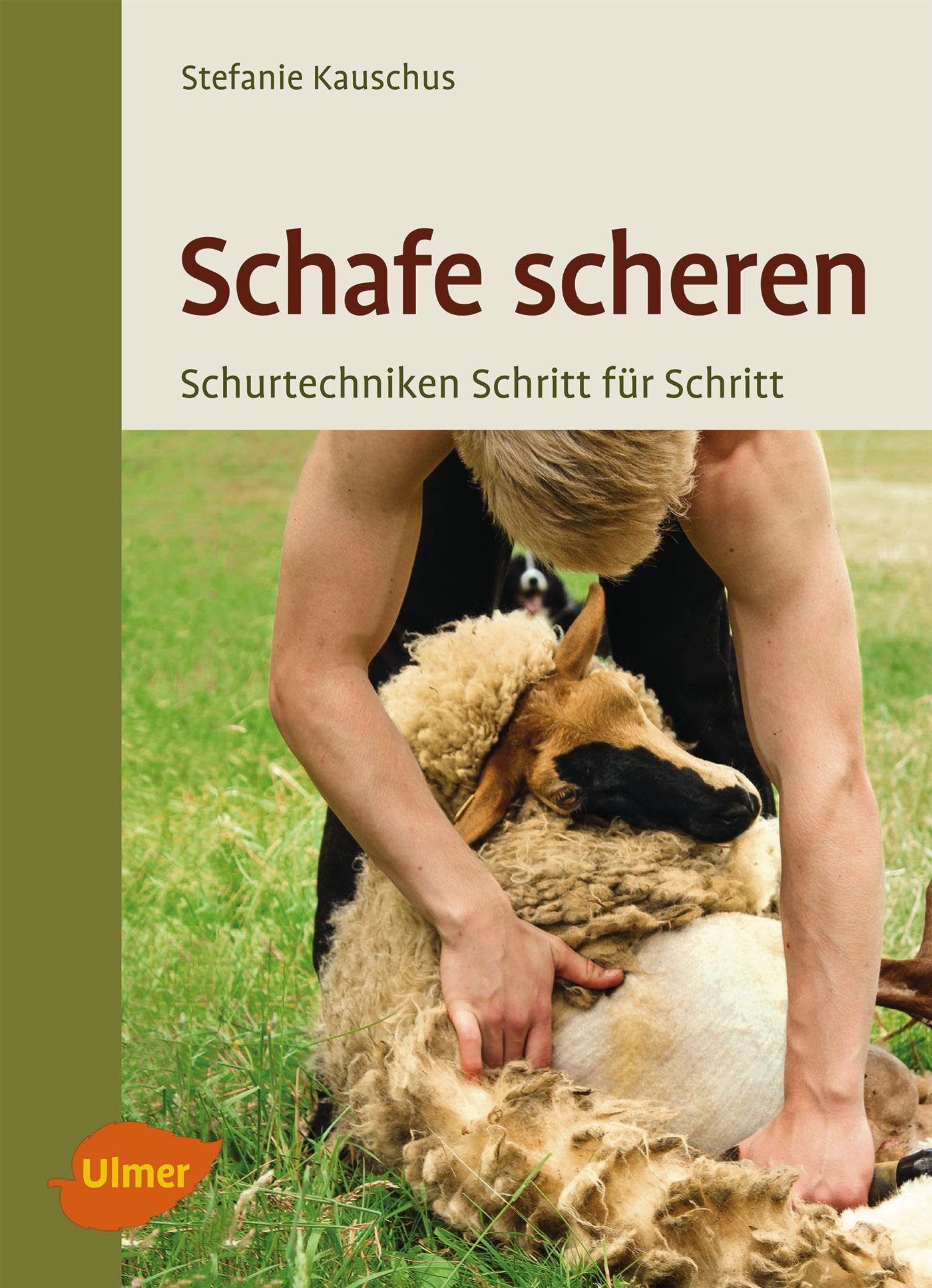 Schafe scheren Medicine
