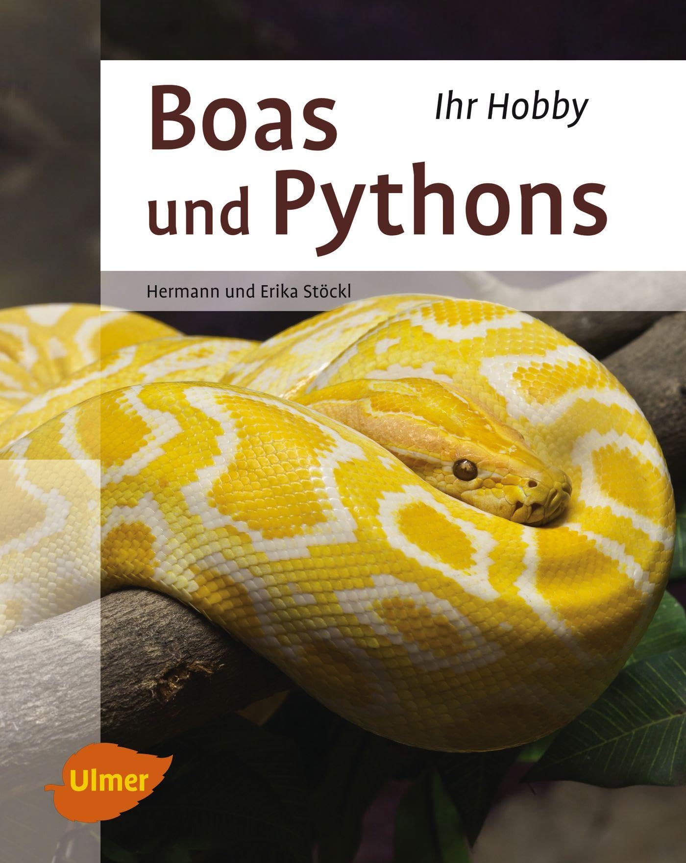 Boas und Pythons Pets