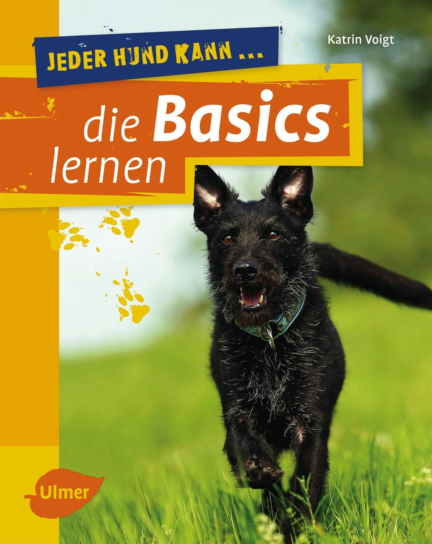 Jeder Hund kann die Basics lernen Pets