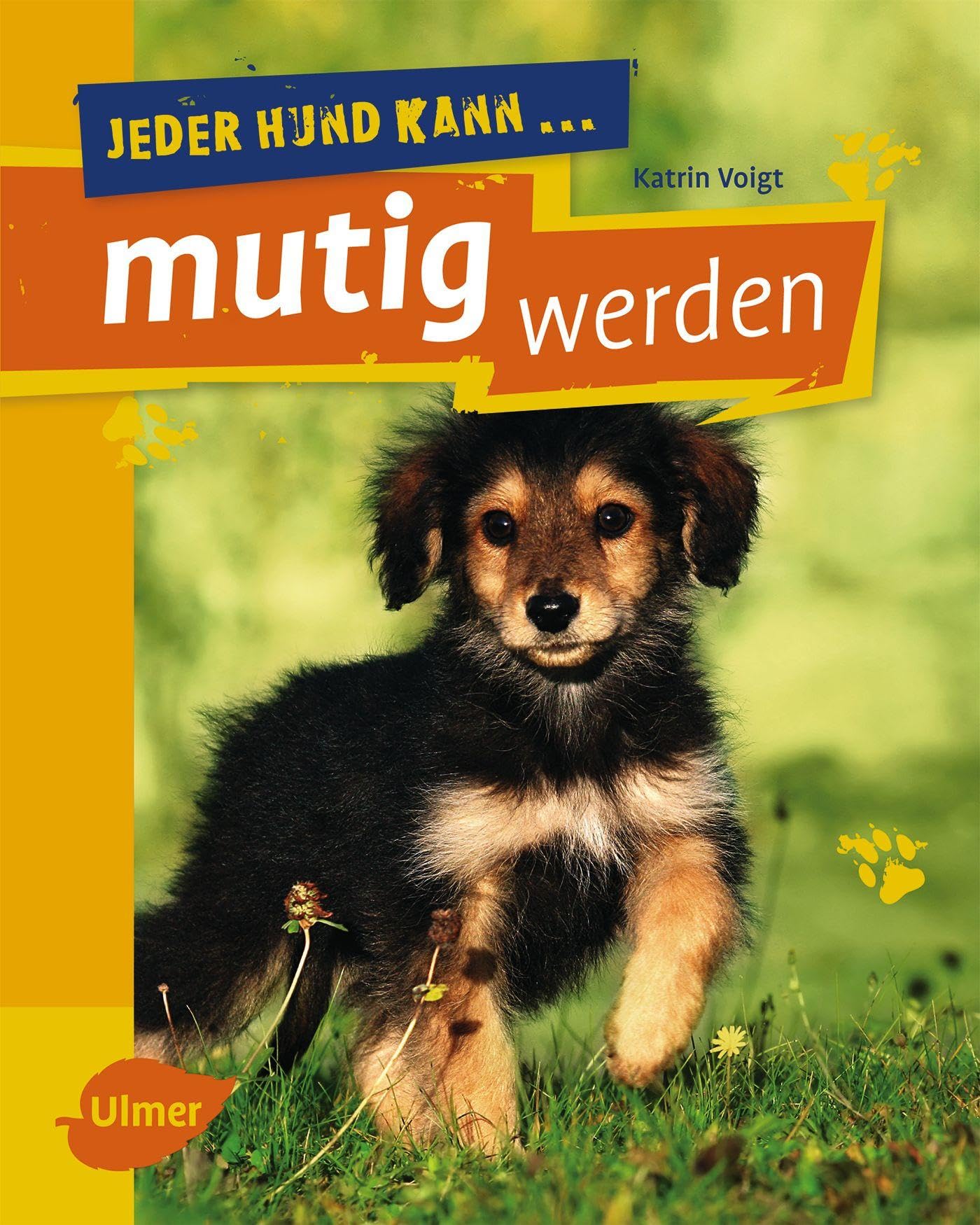 Jeder Hund kann mutig werden Pets