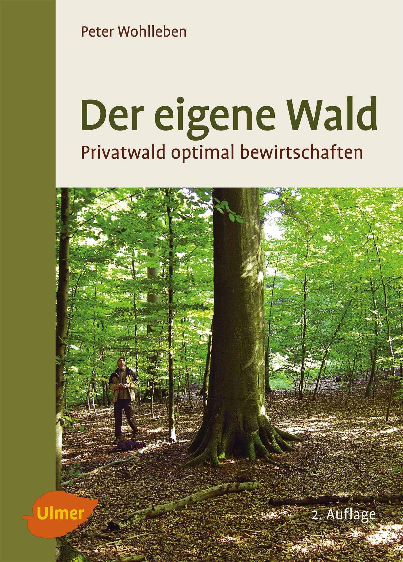 Der eigene Wald Geology & Geography