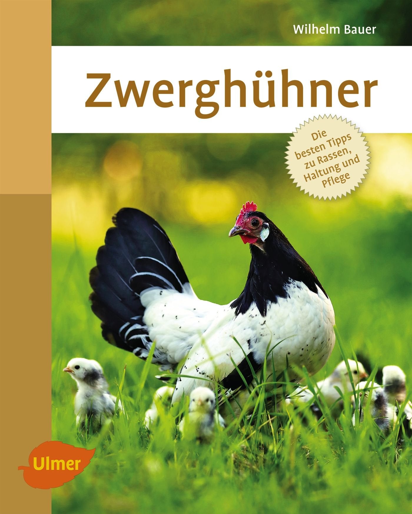 Product Image: Zwerghühner