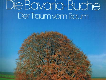 Die Bavaria-Buche. Ein Naturerlebnis Photography Books